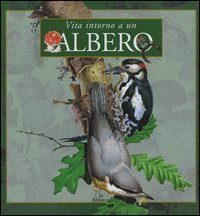 Vita Intorno A Un Albero