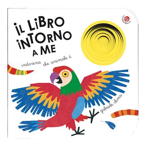 Il libro intorno a me