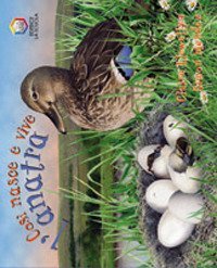 Cos&igrave; nasce e vive l'anatra