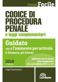 Codice di procedura penale e leggi complementari. Guidato con il commento per articolo, il glossario, gli schemi