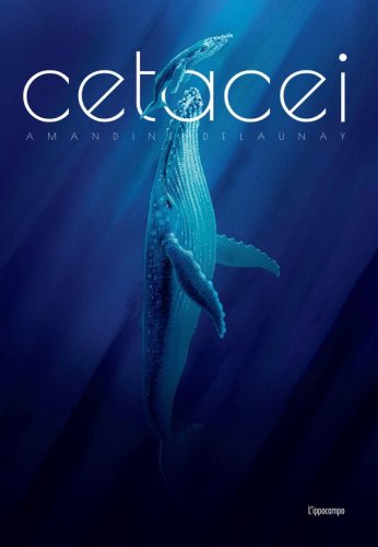 Cetacei. Album scoperte