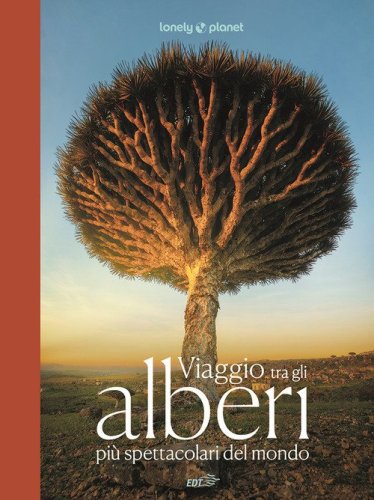 Viaggio tra gli alberi pi&ugrave; spettacolari del mondo