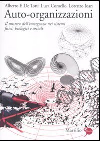 Auto-organizzazioni - Il mistero dell'emergenza dal basso nei sistemi fisici, biologici e sociali