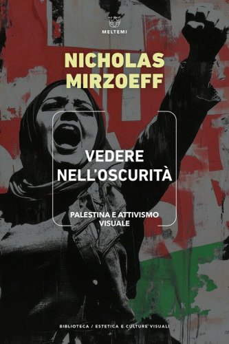 Vedere nell'oscurit&agrave;. Palestina e attivismo visuale