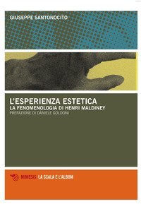 L'esperienza estetica. La fenomenologia Di Henri Maldiney