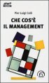 Che cos'&egrave; il management - Divagazioni inattuali su un mito al tramonto