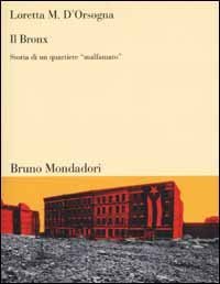 Il Bronx. Storia di un quartiere &laquo;malfamato&raquo;