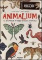 Animalium. Il grande museo degli animali