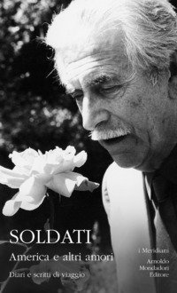 America e altri amori - Diari e scritti di viaggio