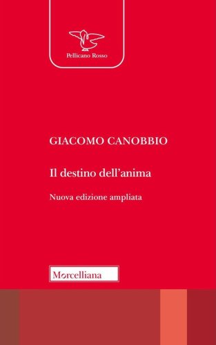 Il destino dell'anima. Elementi per una teologia