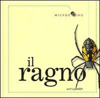 Il ragno