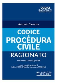 Codice di procedura civile ragionato