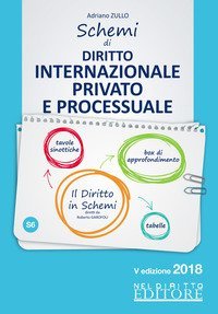 Schemi di diritto internazionale privato e processuale