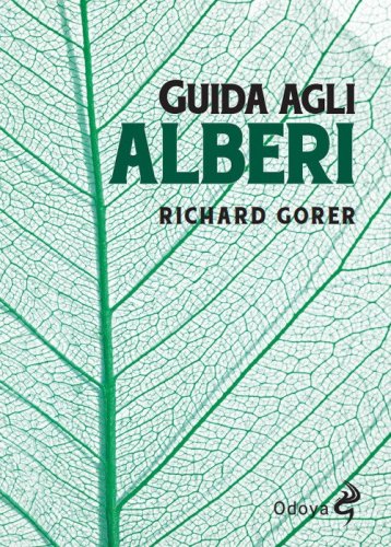 Guida agli alberi