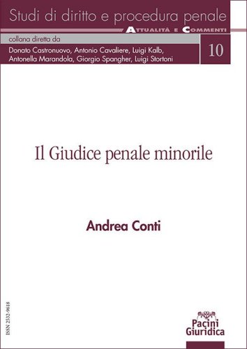 Il giudice penale minorile