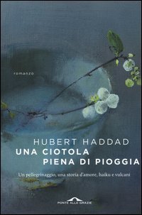 Una ciotola piena di pioggia