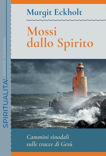Mossi dallo spirito. Cammini sinodali sulle tracce di Ges&ugrave;. Meditazioni bibliche