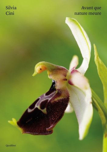 Silvia Cini. Avant que nature meure