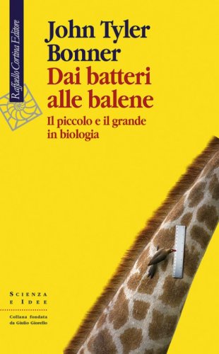Dai batteri alle balene. Il piccolo e il grande in biologia