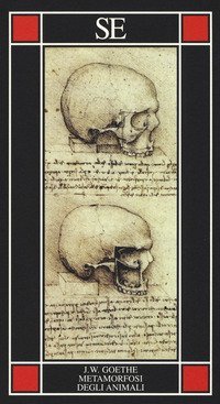 La metamorfosi degli animali