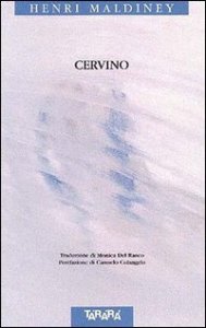 Cervino&shy;Cervin