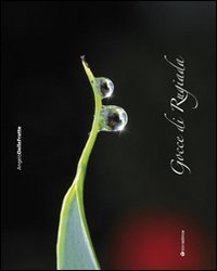 Gocce di rugiada