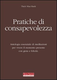Pratiche di consapevolezza. Antologia essenziale di meditazioni per vivere il momento presente con gioia e felicit&agrave;