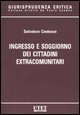 Ingresso e soggiorno dei cittadini extracomunitari