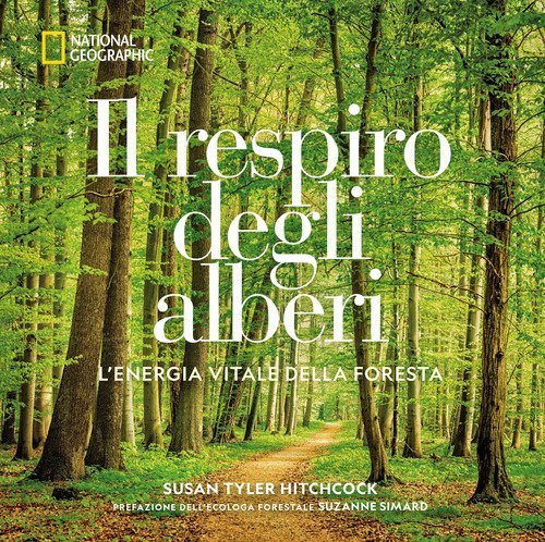 Il respiro degli alberi. L'energia vitale della foresta